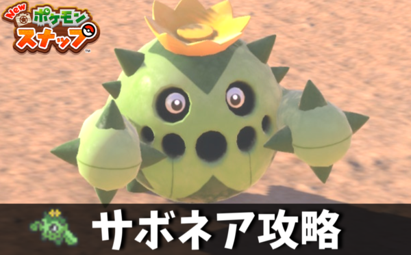 Newポケモンスナップ サボネアの星4ダイヤ写真の撮り方 写真評価